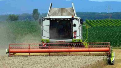 Government subsidy for farmers