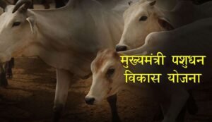 Jharkhand mukhyamantri pashudhan yojana