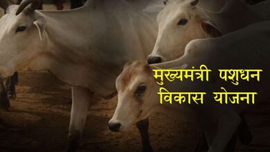 Jharkhand mukhyamantri pashudhan yojana