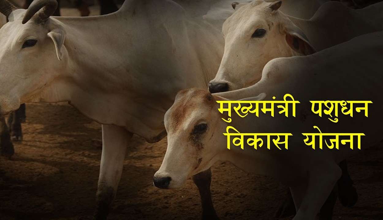 Jharkhand mukhyamantri pashudhan yojana