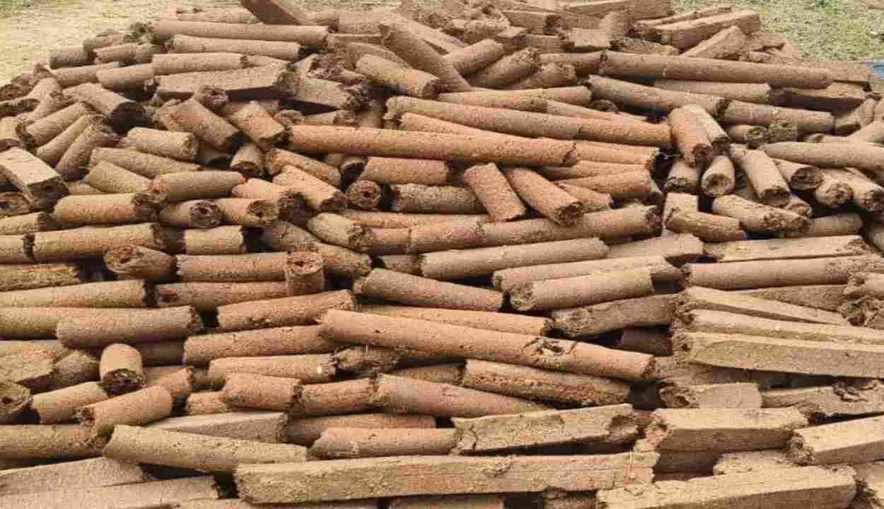 Cow dung wood business