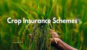 Pm crop insurance scheme