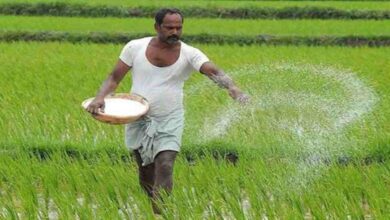 Rashtriya krishi vikas yojana