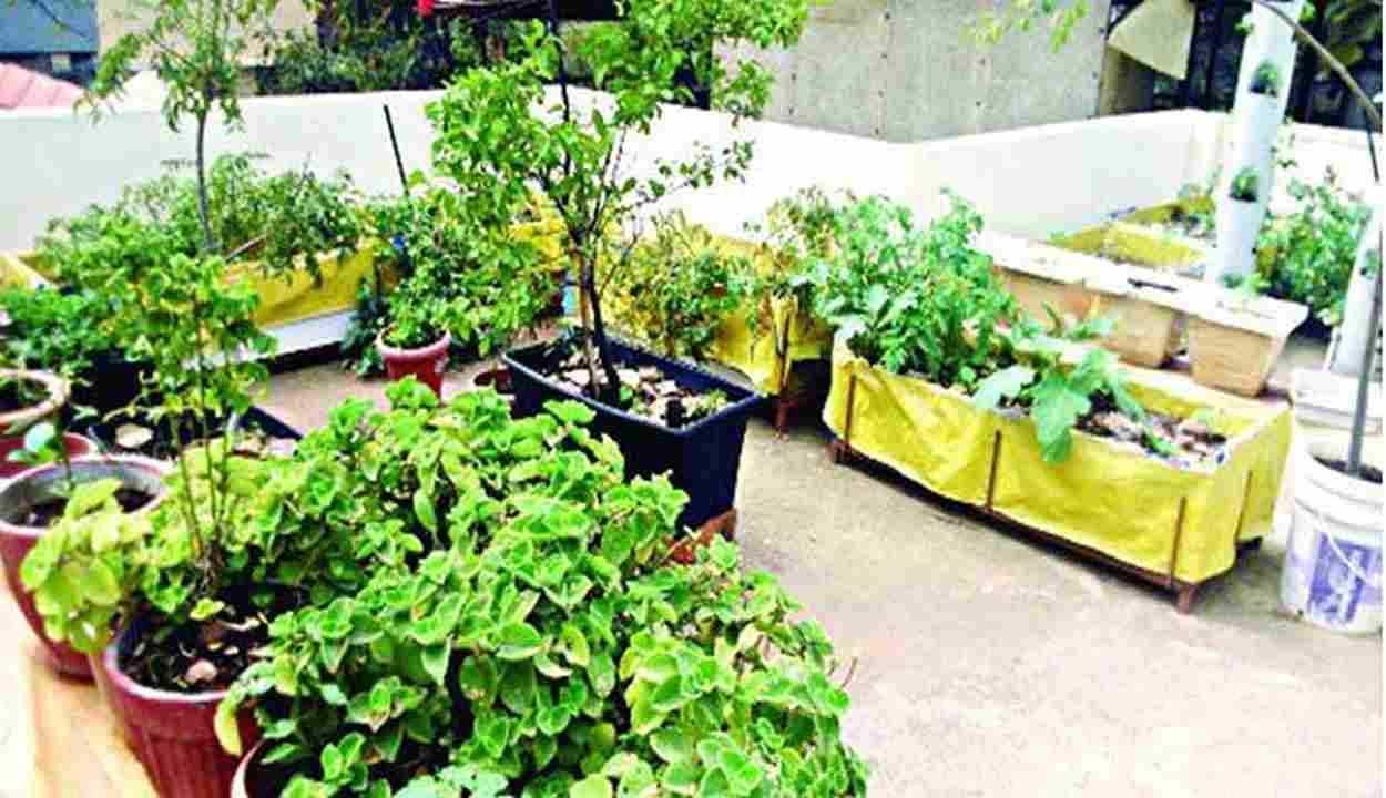 Chhat par bagwani scheme 2025