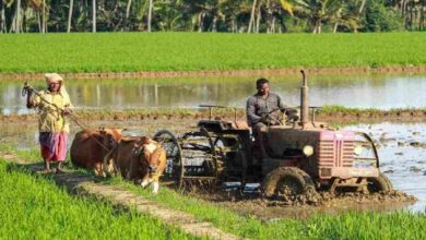 Krishi yantrikaran yojana