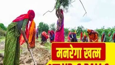 A new direction for rural employment