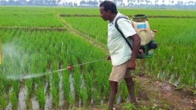 Fertilizer manufacturing