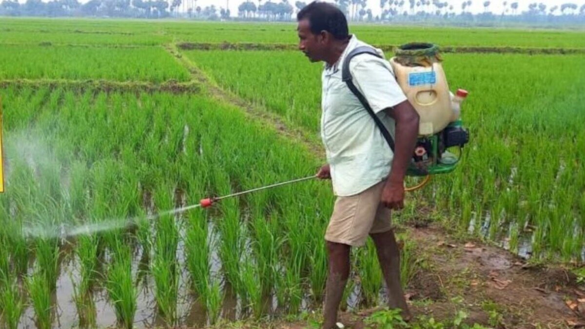 Fertilizer manufacturing