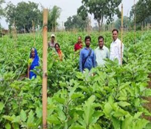 Jharkhand rural economy