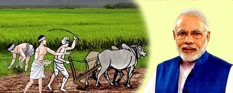 Pm kisan samman nidhi