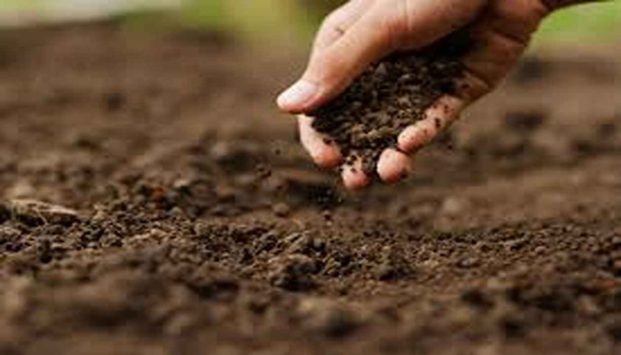 Reviving used potting soil