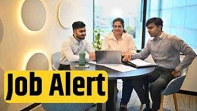 Job opportunities 2026