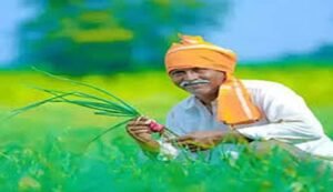 Pm kisan 22nd installment release date 2026