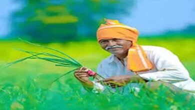 Pm kisan 22nd installment release date 2026