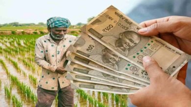 Pmfme scheme success stories