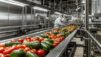 Rajasthan fruit vegetable processing subsidy 2026