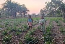 Success story innovative farming