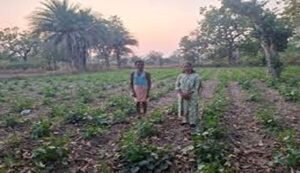 Success story innovative farming