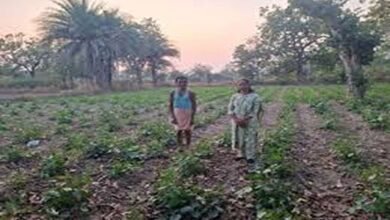 Success story innovative farming