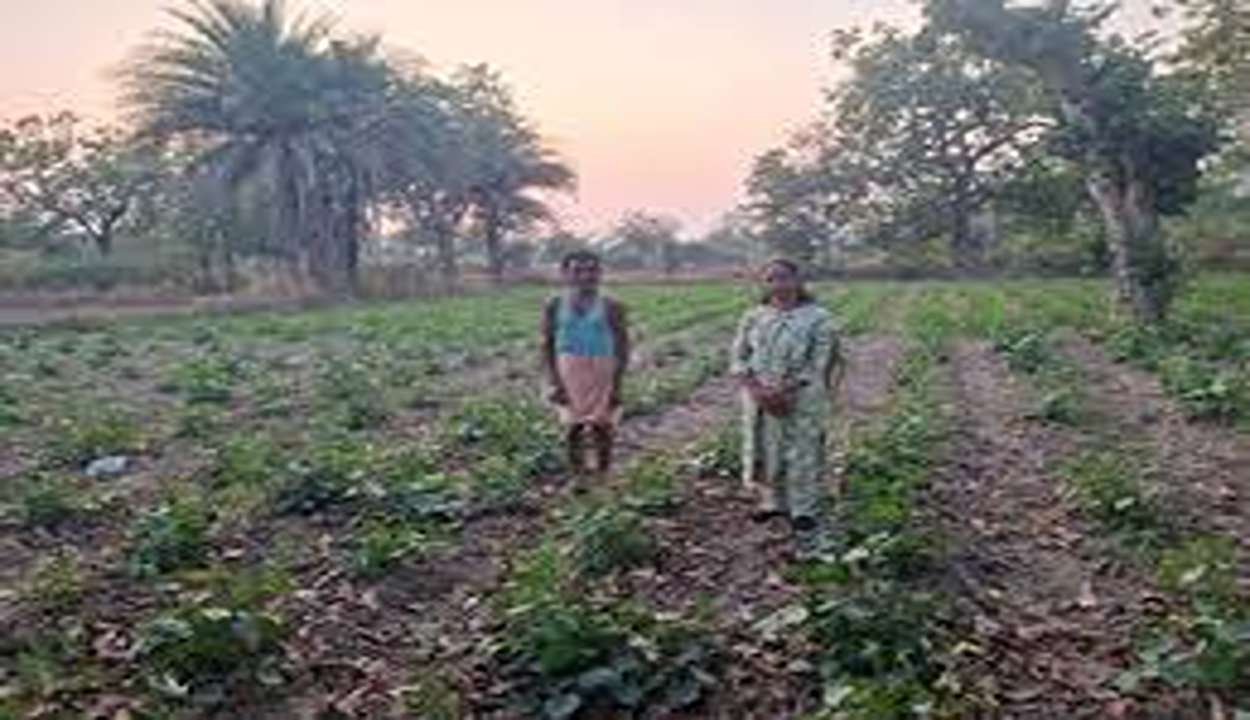 Success story innovative farming