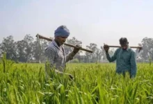 Up farmer accident insurance