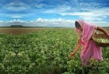 Women farmer's success story