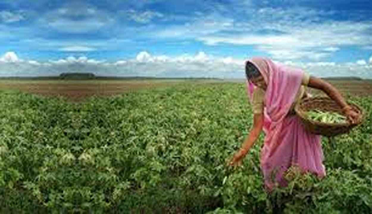 Women farmer's success story