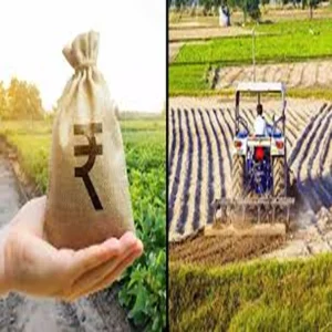 Agriculture marketing farmers market reforms