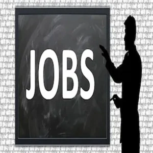 Bob it recruitment 2026 418 posts