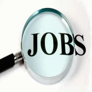 Hssc recruitment group c phase ii application started