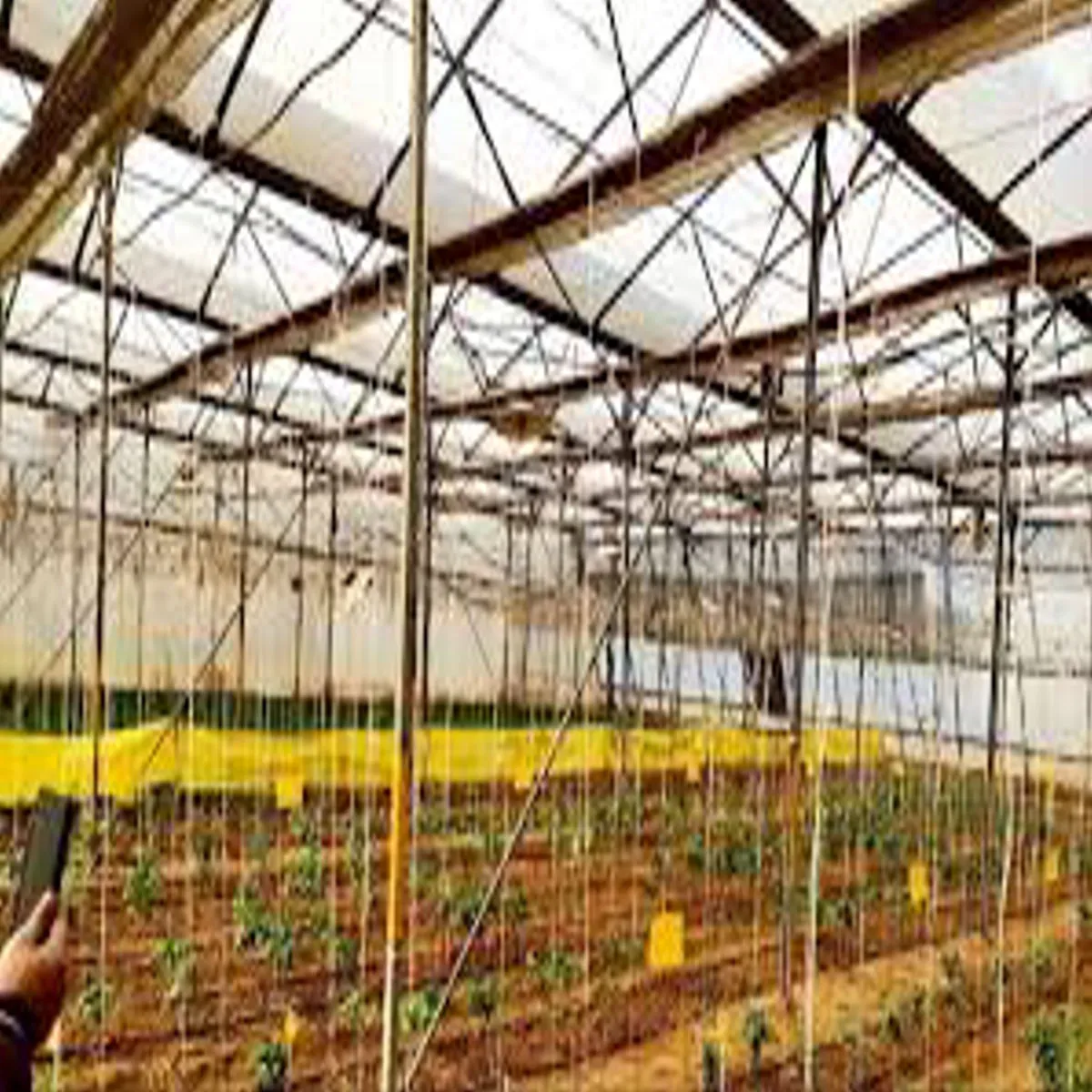 Protectedfarming protectedfarming kisanon pli haus protectedfarming