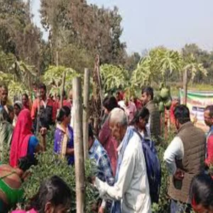 Agriculture input dealer training palamu
