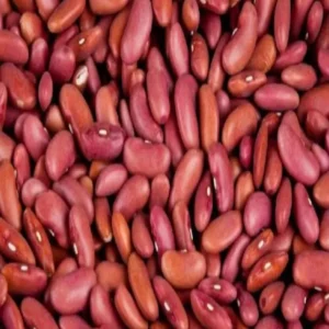 Araria rajma farming profit growth