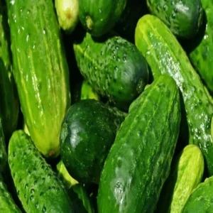 Cucumber farming profit in march