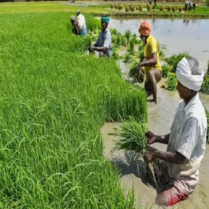 Farmer registry digital benefits india 2026