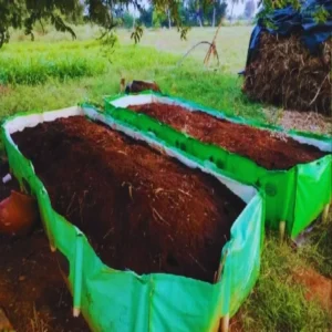Farming success vermicompost income model