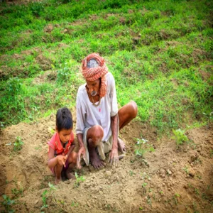 Fpo model boosts farmers income group farming benefits