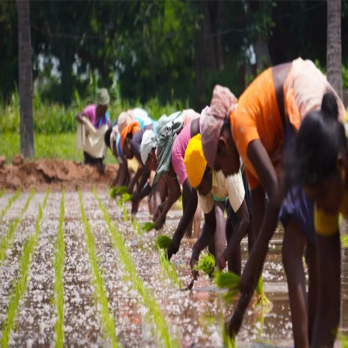 Jkssbrecruitment jkssbrecruitment kshi pshupaln shit kee