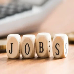 Nic scientist b recruitment 243 posts 2026