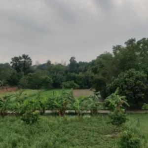 Organic farming amethi farmer vegetable income success