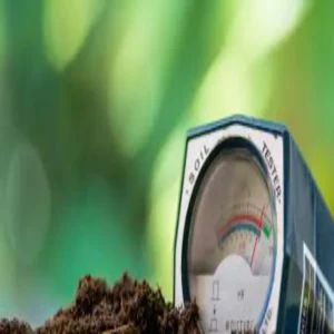 Soil ph gn paidavar men mitti