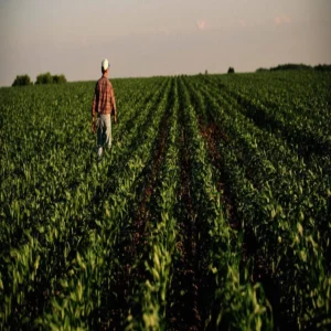 Us scientists discuss farming with bahraich farmers