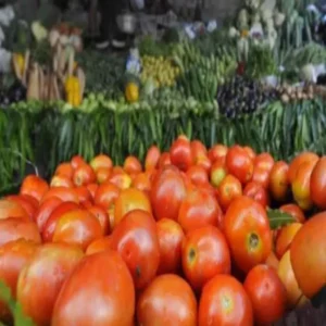 Azamgarh tomato farming income growth