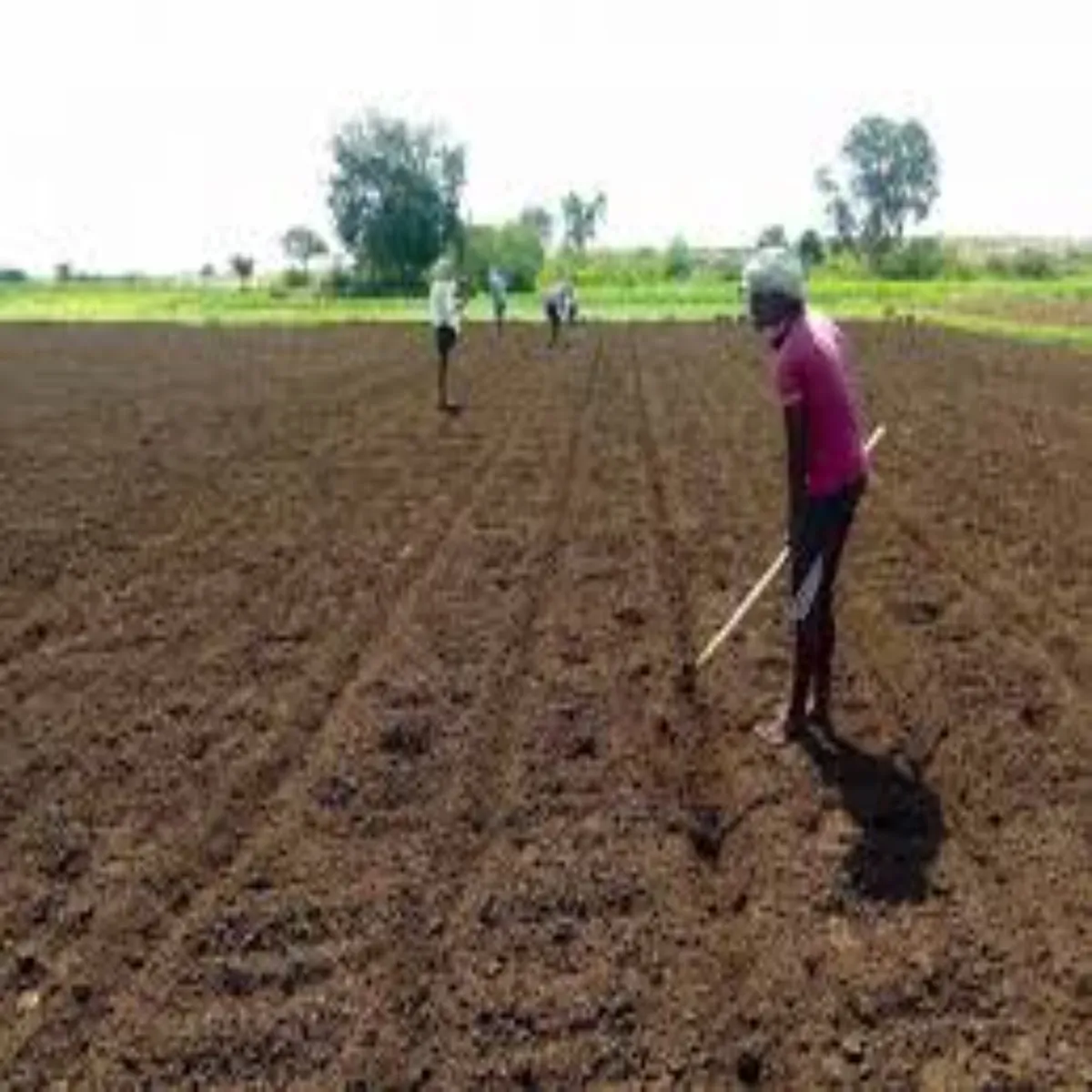 Agriculture profit agriculture profit lagt men