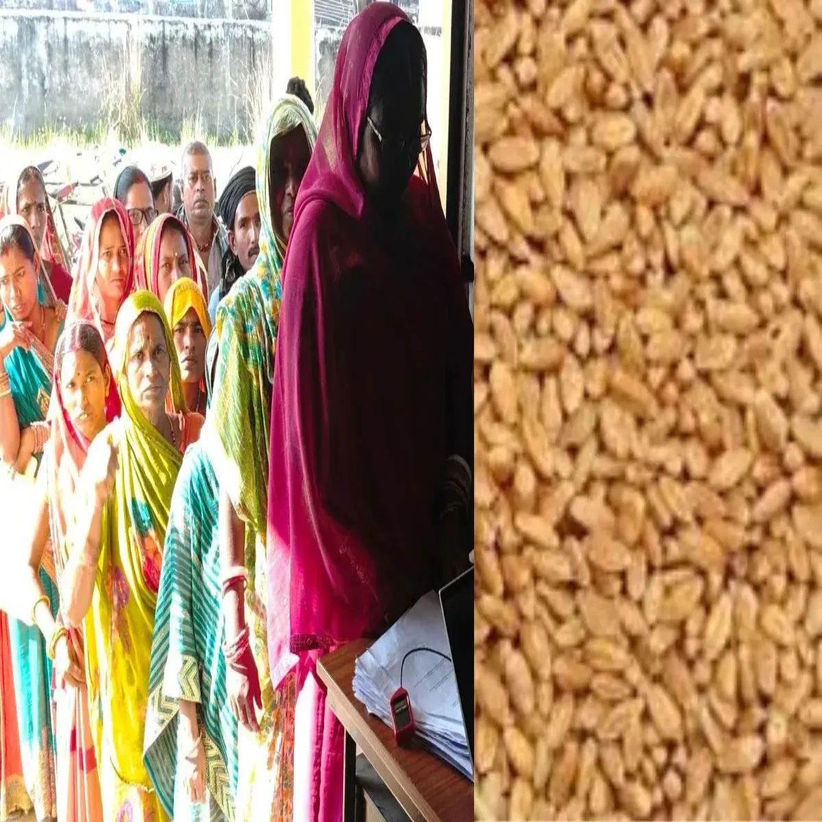 Seeddistribution seeddistribution knnauj men kisanon lie