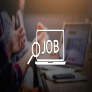 Nss young professional recruitment application process