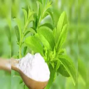 Stevia farming profit low cost high income india