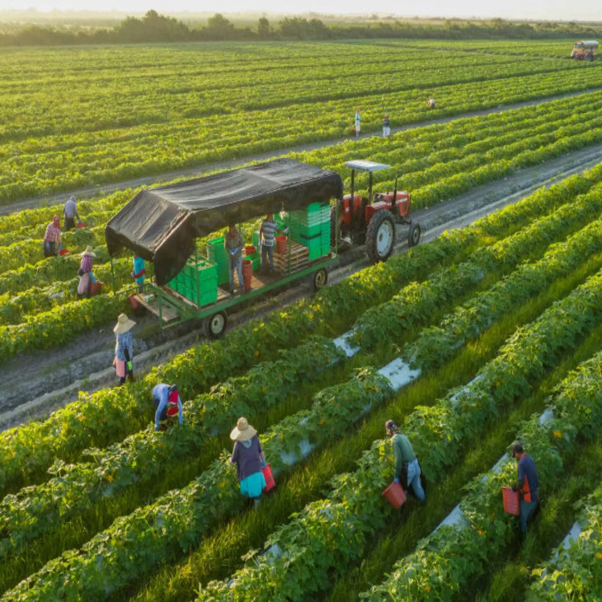 Farmmachineryscheme farmmachineryscheme kstm hayring yojna kisanon