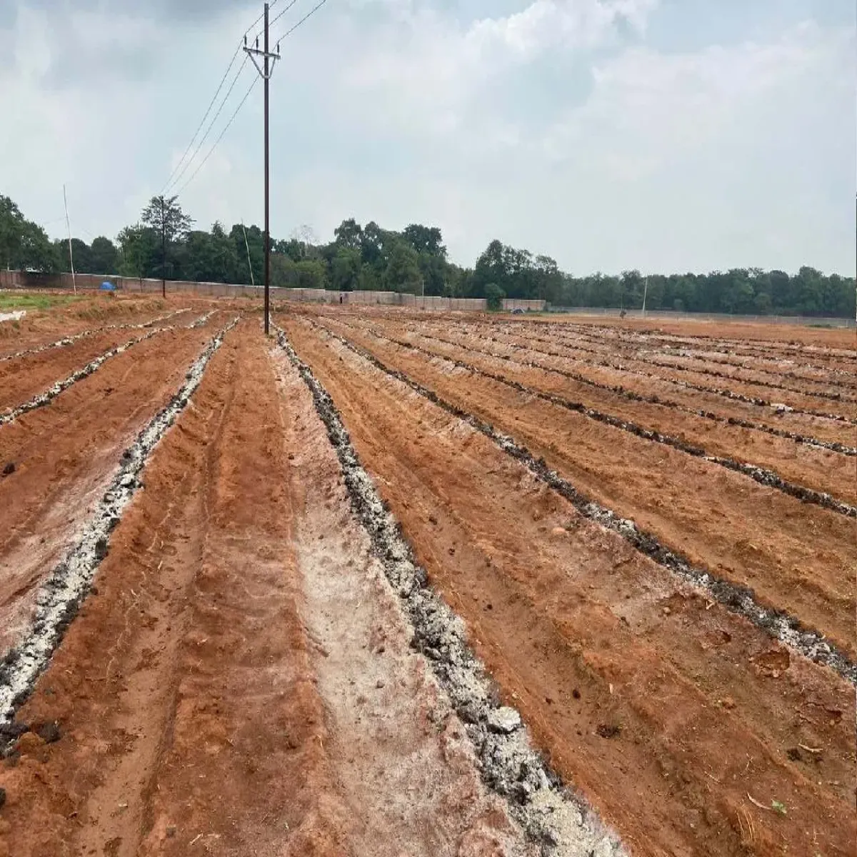 Farming success story farming success story