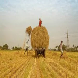 Kharif farming preparation farmer tips